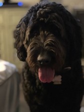 AVENGERS #122 TO #194 1974 TO