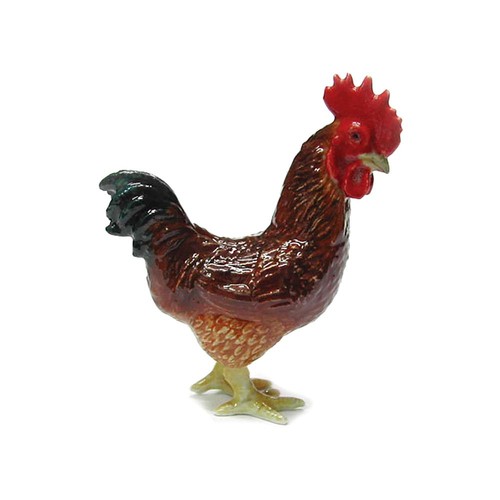 Northern rose rhode island red - rose,