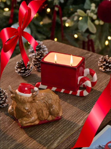 New next festive spice - new,