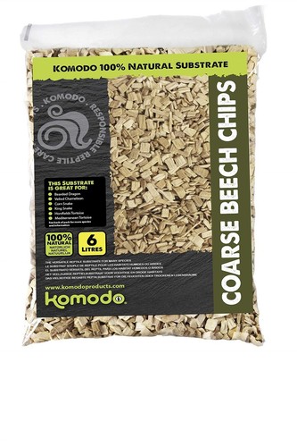 Komodo reptile coarse beech - reptile,