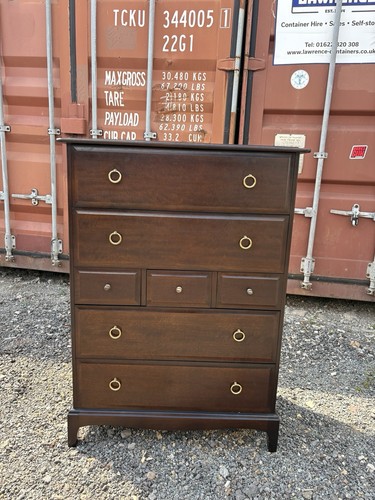 Stag minstrel tallboy - stag,
