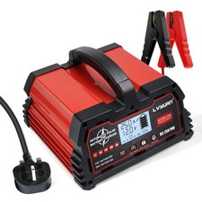 25A 12V/24V Smart Car Battery Charger Pulse Repair Lead-Acid & 12V Lifepo4