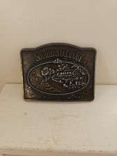 Vintage Southern Comfort Belt