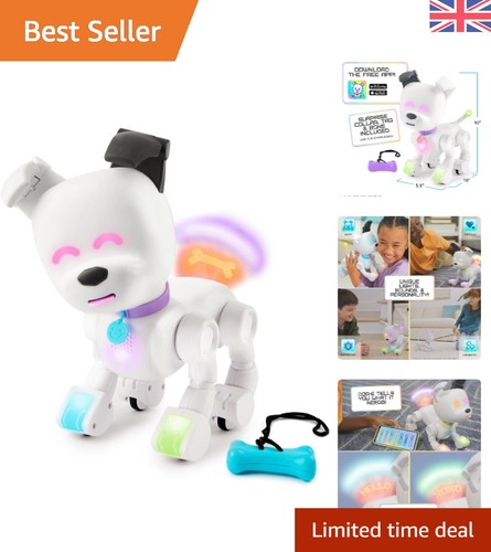 Interactive robot dog with - robot,