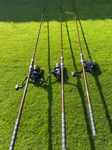 Harrison torrix rods and - torrix,