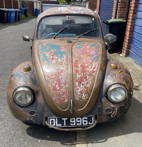 Beetle 1971 type rat - rat, look