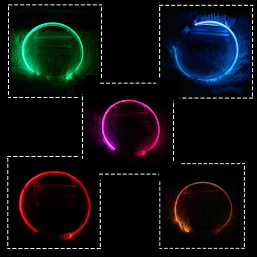 Dog cat pet led collar - led,