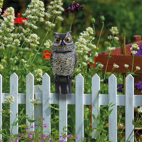 Life size decoy owl with - decoy,