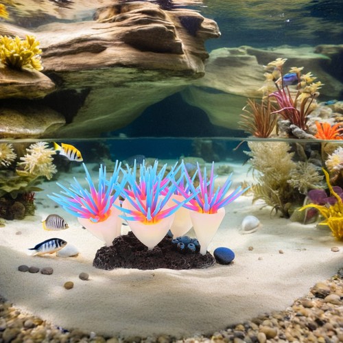 Anemone aquarium decor fish - anemone,