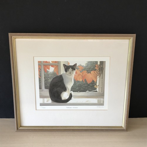 Black white cat - black, &