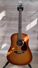 Seagull Acoustic Guitar