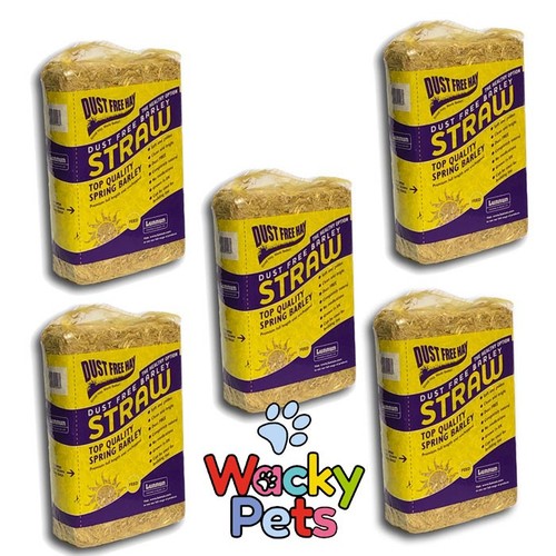 Lunnun barley straw - barley, free