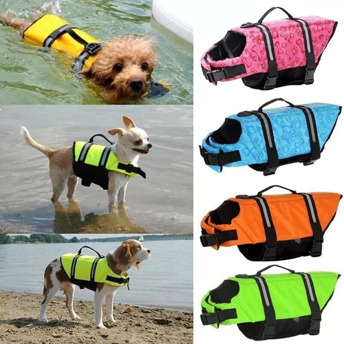 Dog life jacket - dog,