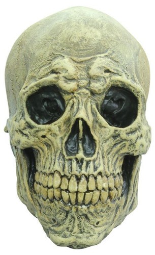 Mask head skull - skull, death