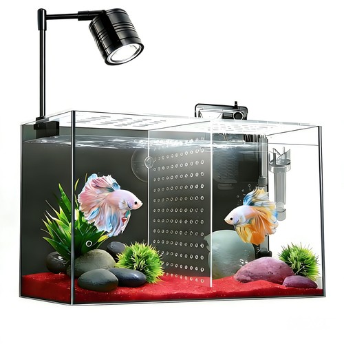 Fish tank gallon - fish, tank,