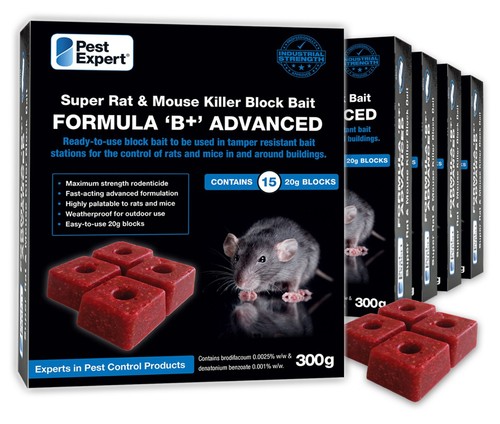Rat poison mouse killer - rat, pest