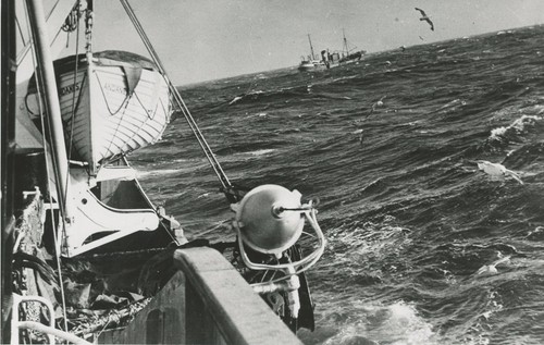 Memory lane fishing - memory, /
