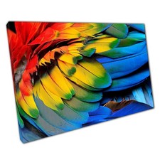 Vibrant Scarlet Macaw Canvas