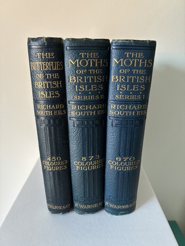 Richard south butterflies and - butterflies,