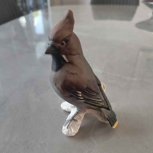 Vintage goebel bird - bird, cedar