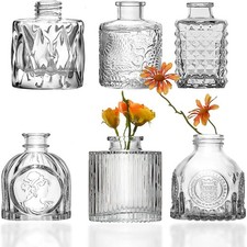 Glass Bud Vases Set of 6, Cute