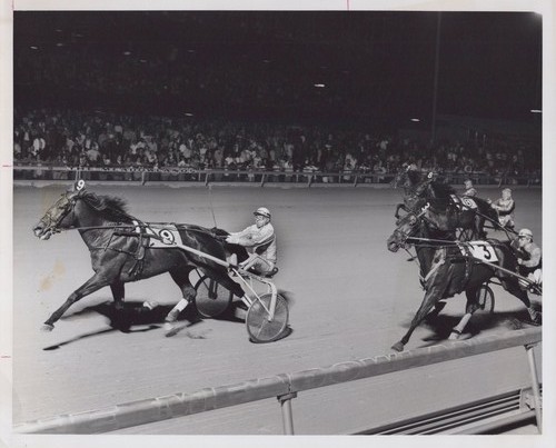 Crowns star meadowlands nj - -,