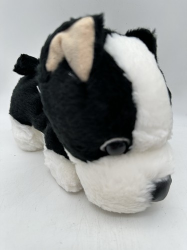 Novelty dog puppy - dog, bladed