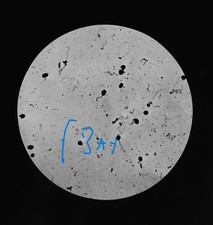 Microscope photo soil - photo,