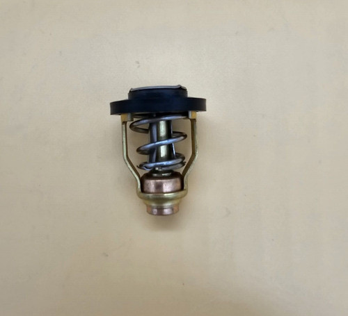 Suzuki outboard thermostat - , 100