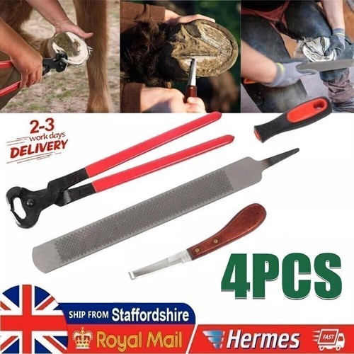 Farriers tools horse hoof - horse,