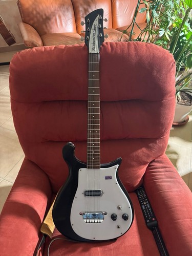 Rickenbacker 425v63 with hard - with,