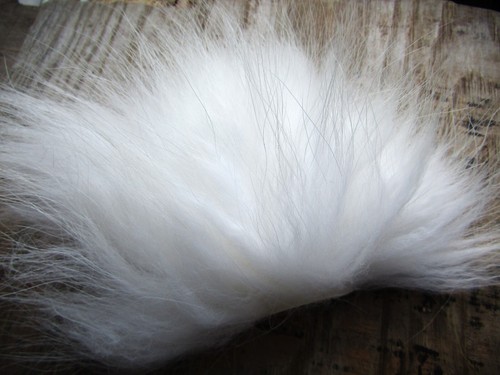 Ifs fin raccoon body - raccoon,