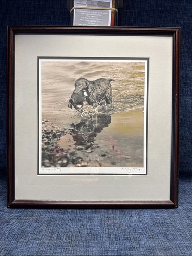 Framed aubrey bodine - aubrey, signed