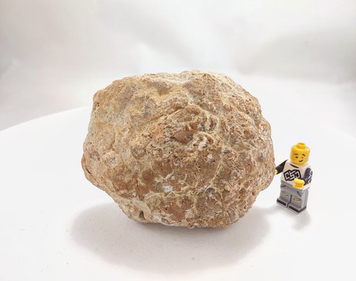 Unopened geode non - 3.75",