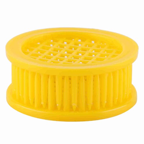 Queen bee rearing box - queen, cell