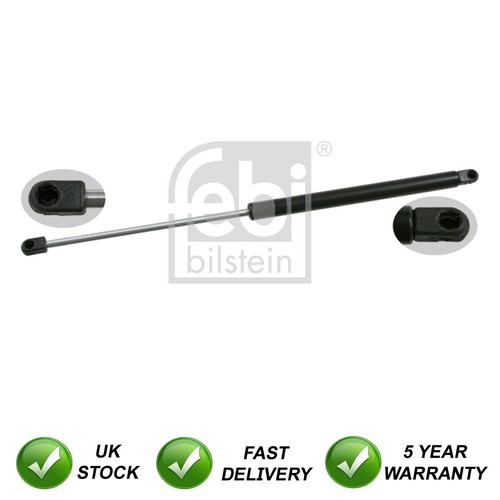 Tailgate gas strut - tailgate, sjr