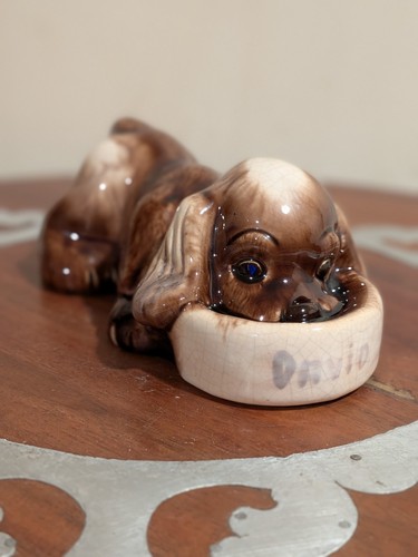Lichten ware cocker spaniel - ware,
