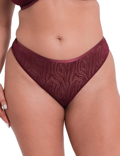 Curvy kate lace daze - kate,
