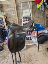 Brown Albion MW 17.5 Dressage