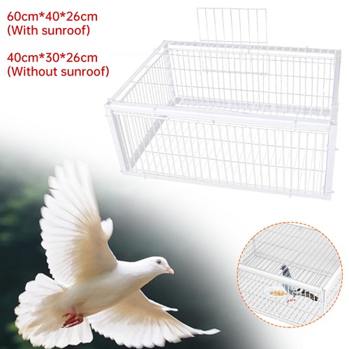 Pigeon trap cage - pigeon, way