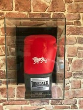 Boxing Glove Display Case Wall