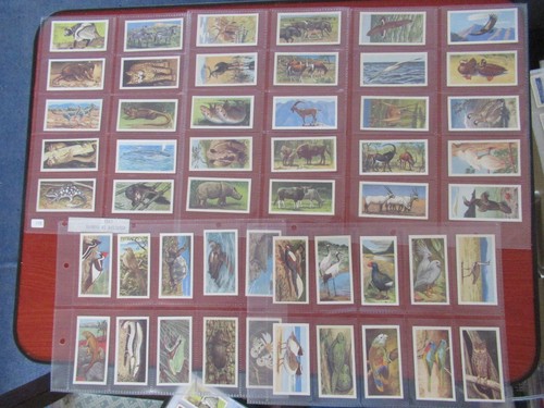 Brooke bond wildlife in - brooke,