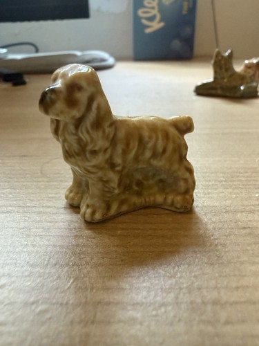 Wade whimsie spaniel - wade,