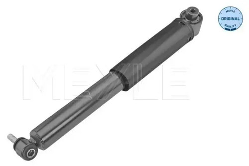 Shock absorber rear axle - absorber,