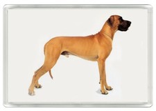 GREAT DANE DOG ART PRINT