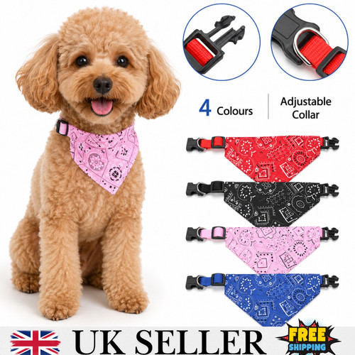 Neck decor triangular bandage - decor,