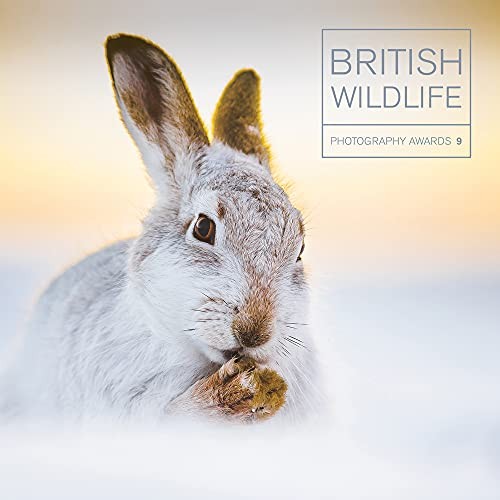 British wildlife photography - british,