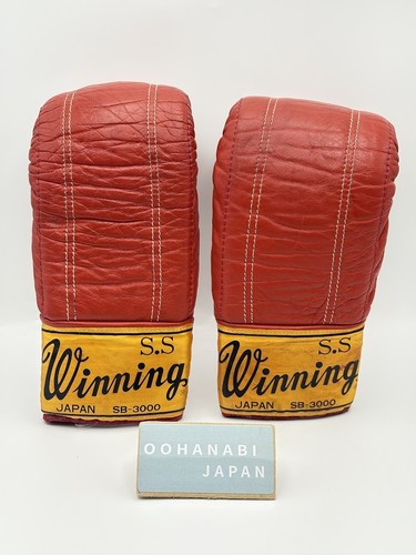 Winning boxing bag punching - winning,