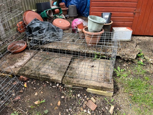 Galvanised steel wire - steel, mesh