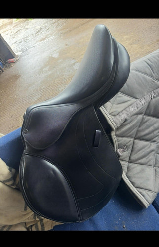 Premier equine close - , contact